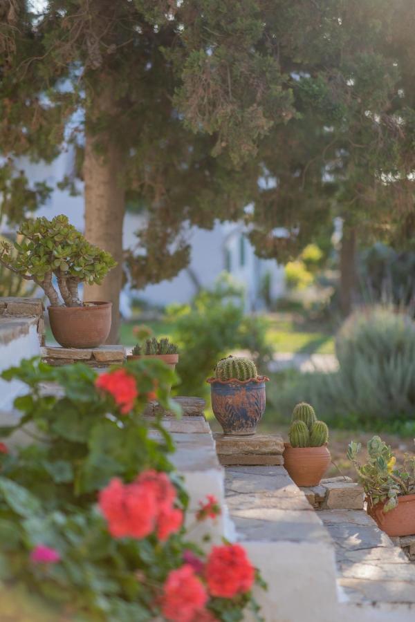 Antonina Hotel Agia Anna  Exterior photo